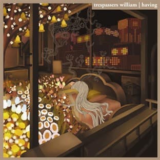Album cover art for Having