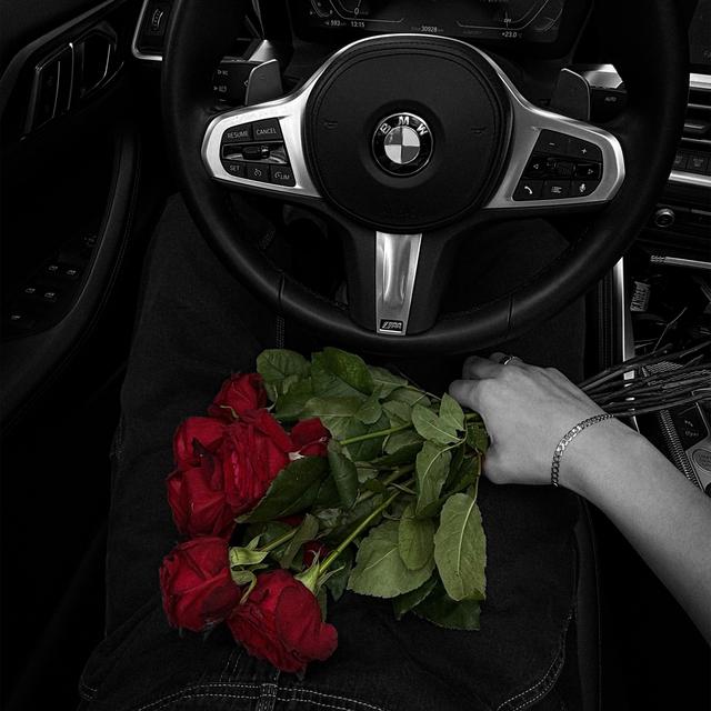 Album cover art for Mein Mensch