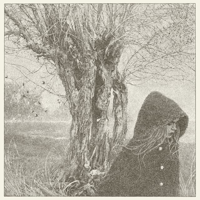 Album cover art for Between the Earth and Sky