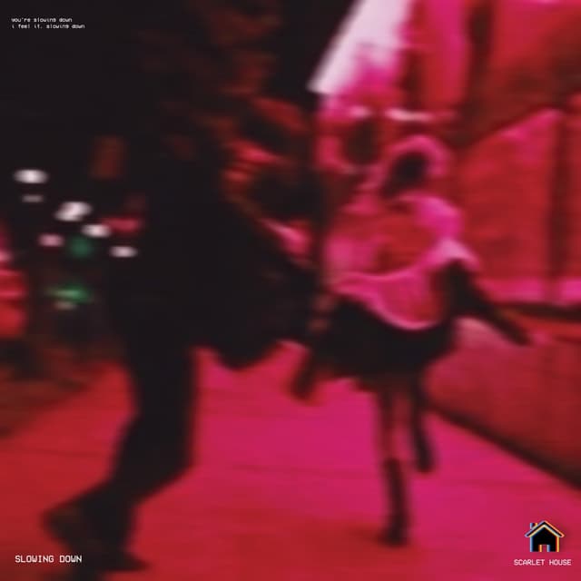 Album cover art for Slowing Down