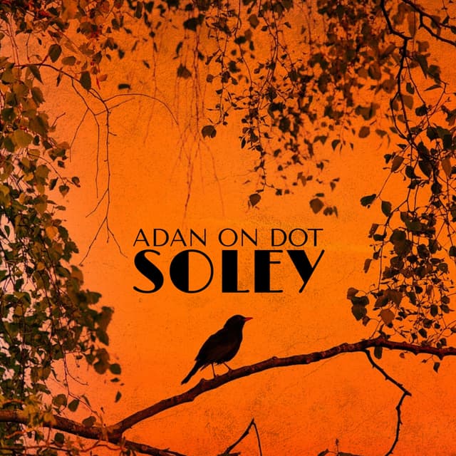 Album cover art for Adan on Dot Soley