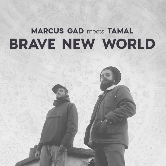 Album cover art for Brave New World