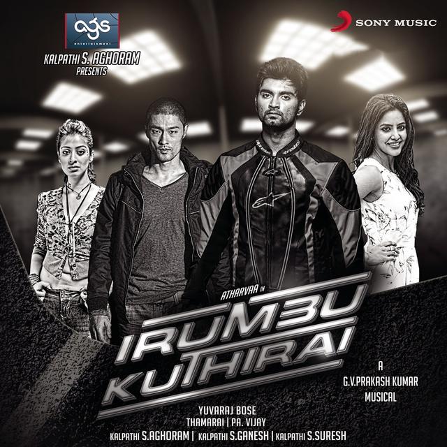 Album cover art for Irumbu Kuthirai