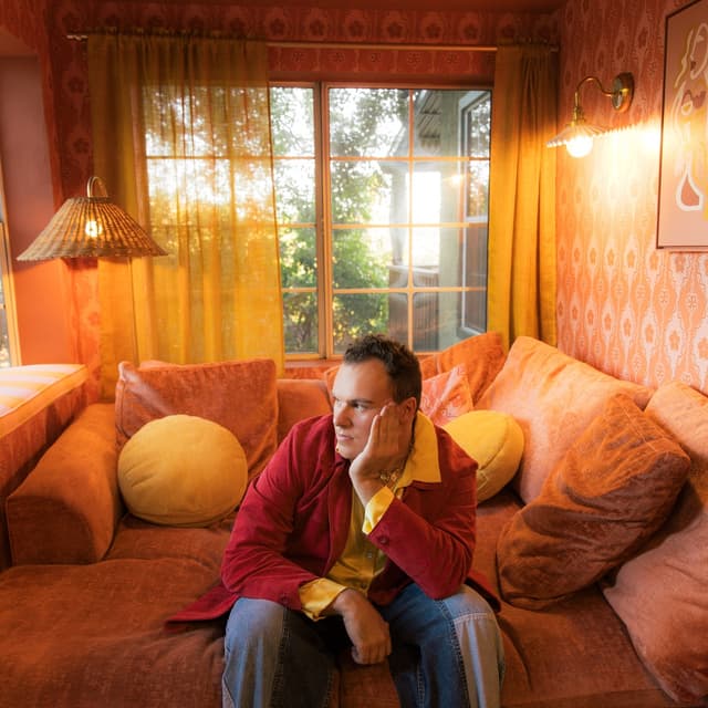 Album cover art for What Would I Look Like Without A Brave Face?