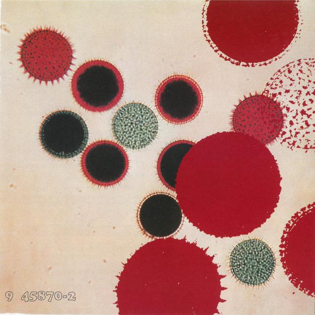 Album cover art for Skin and Blister