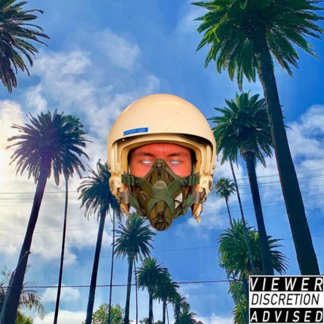 Album cover art for ADULT