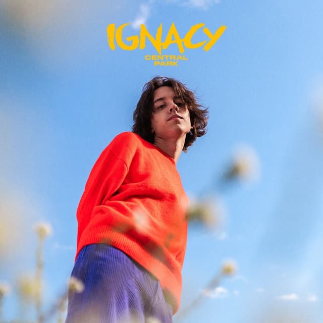 Album cover art for Central Park