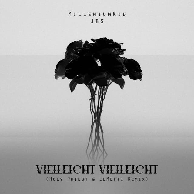 Album cover art for Vielleicht Vielleicht (Holy Priest & elMefti Remix)