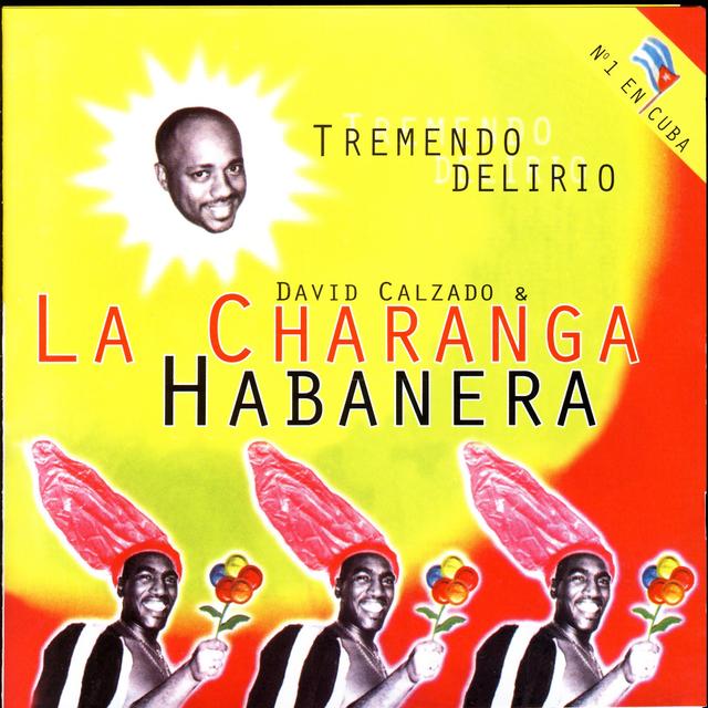 Album cover art for Tremendo Delirio