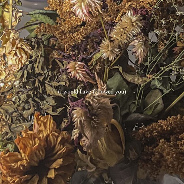 Album cover art for (i would have followed you)