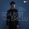 Schubert: Piano Sonata No. 20 in A Major, D. 959: II. Andantino