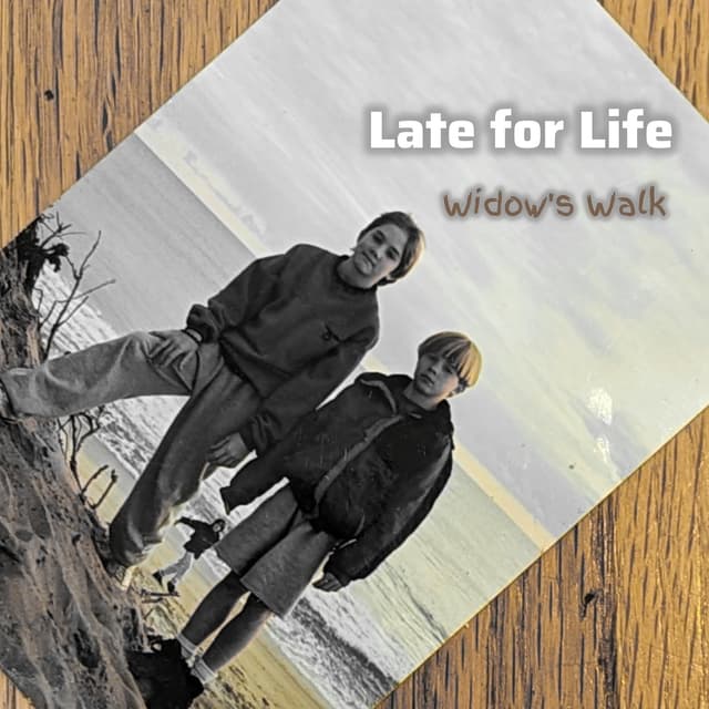 Album cover art for Widow's Walk