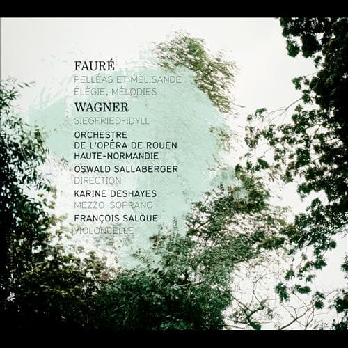 Album cover art for Fauré : Pelléas et Mélisande - Elegie. Melodies - Wagner