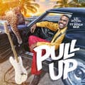 Album cover art for Pull Up