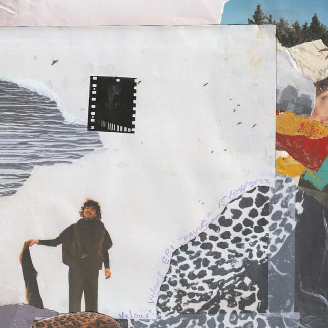 Album cover art for Fauve