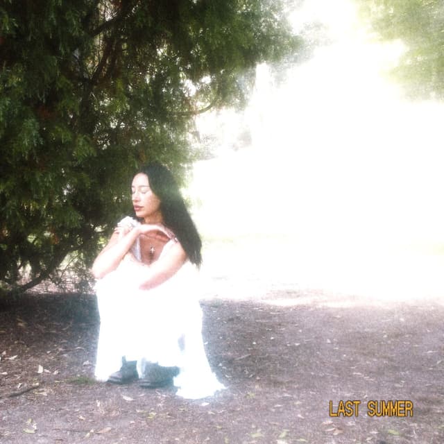 Album cover art for Last Summer