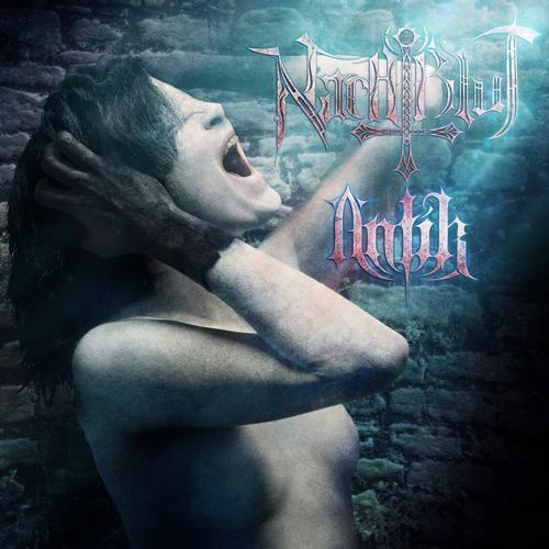 Album cover art for Antik
