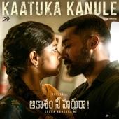 Album cover art for Kaatuka Kanule