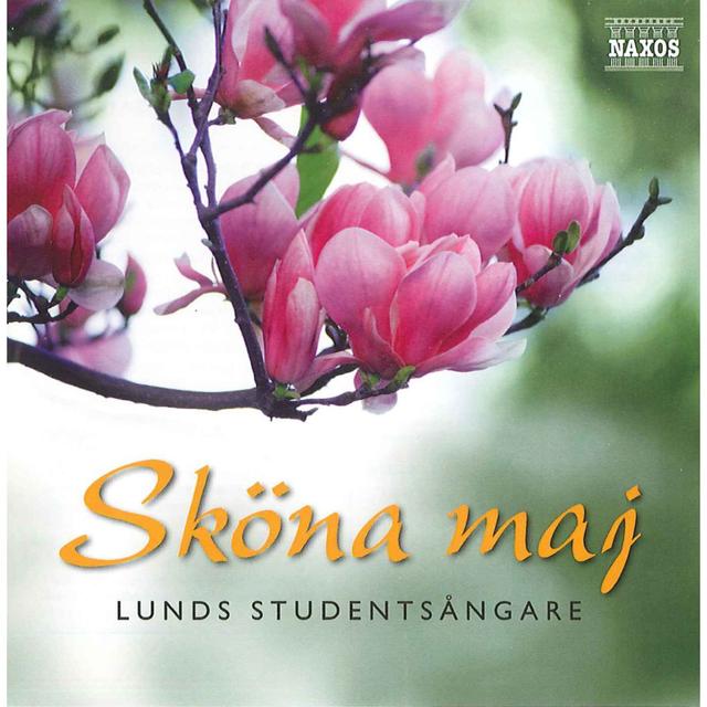 Album cover art for Sköna maj
