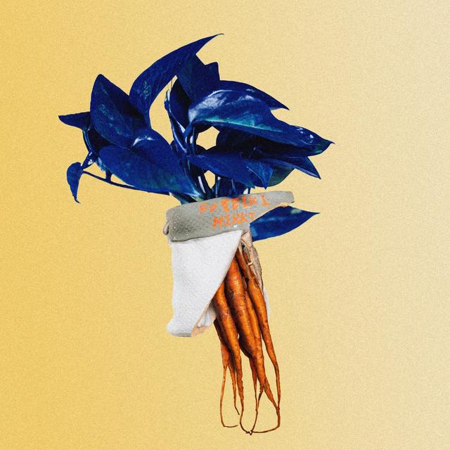 Album cover art for 不定期日記