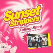 Album cover art for Falling Stars