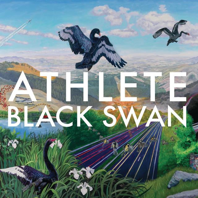 Album cover art for Black Swan