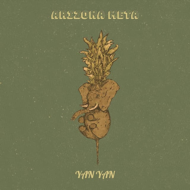 Album cover art for Arizona Meta