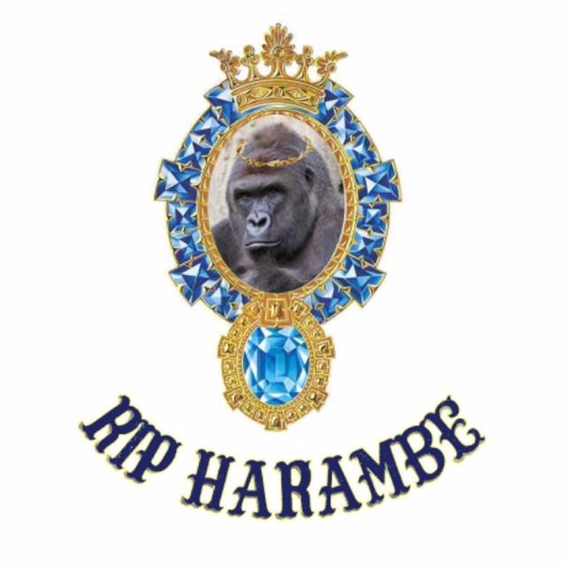 Album cover art for RIP Harambe