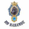 RIP Harambe