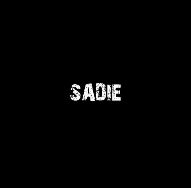 Album cover art for SADIE〜UNDEAD 13+2〜