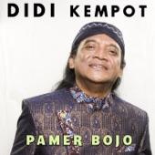 Album cover art for Pamer Bojo