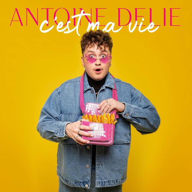 Album cover art for C'est ma vie