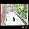 純風 (Jun Pu)