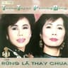 Nỗi Buồn Hoa Phượng