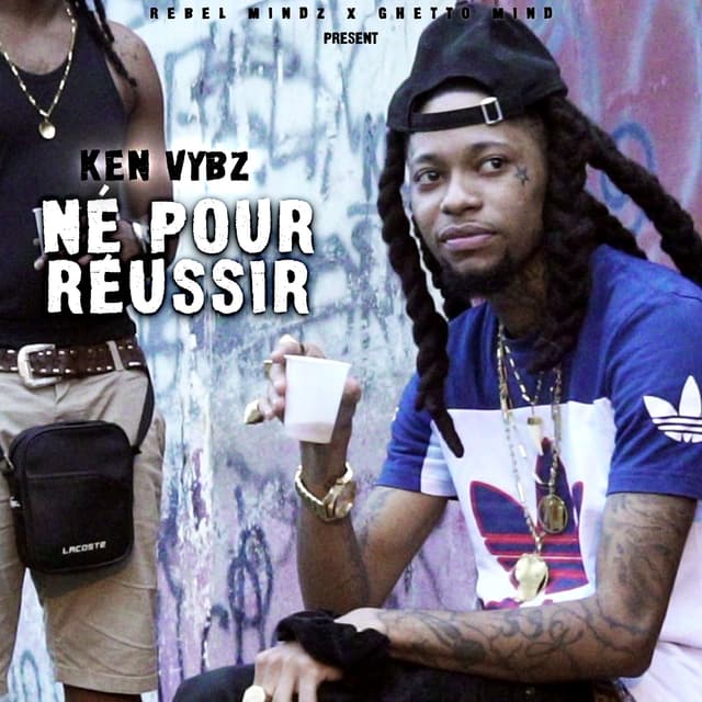Album cover art for Né pour réussir