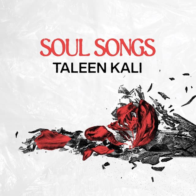 Album cover art for Soul Songs