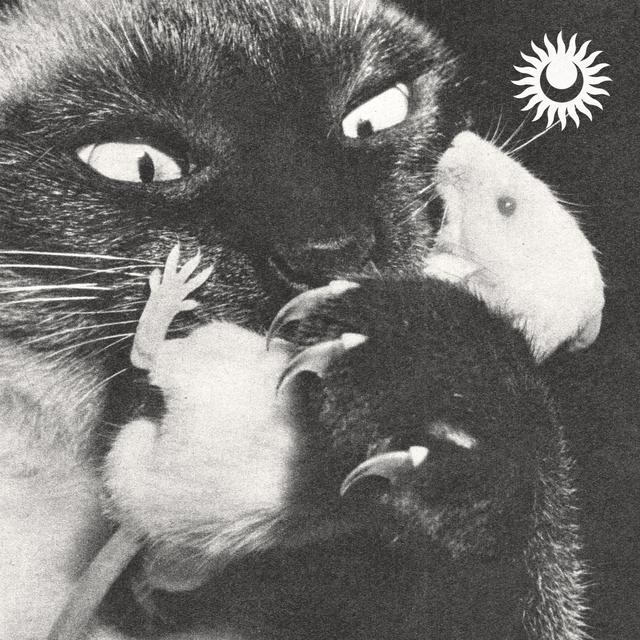 Album cover art for Monsters