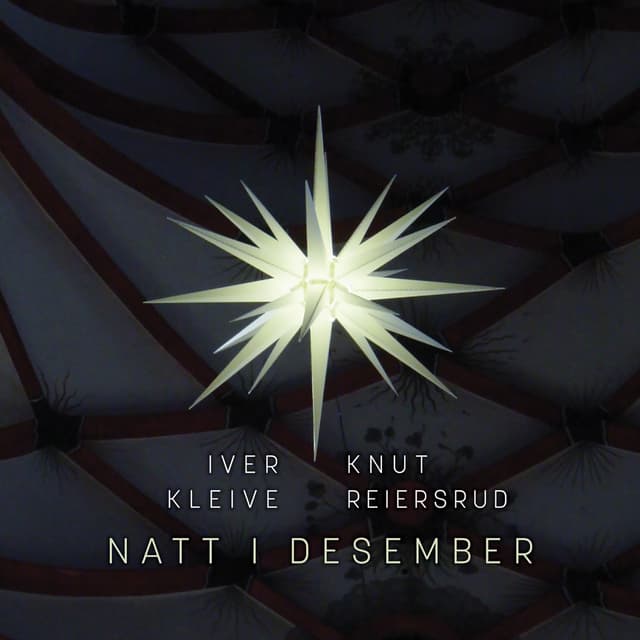 Album cover art for Natt i desember
