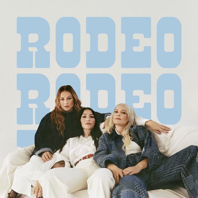 Album cover art for Ensimmäinen rodeo