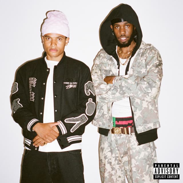 Album cover art for V