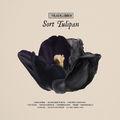 Album cover art for Sort Tulipan