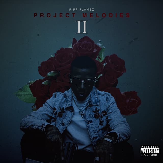 Album cover art for Project Melodies II