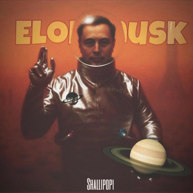 Album cover art for Elon Musk