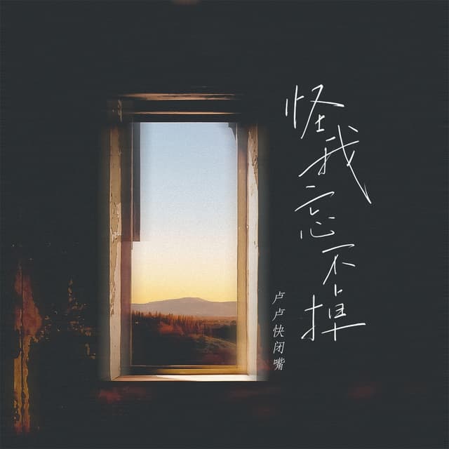 Album cover art for 怪我忘不掉