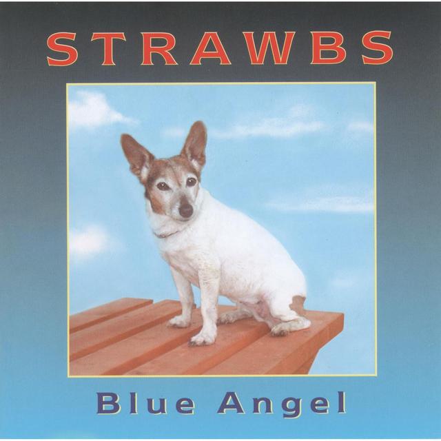 Album cover art for Blue Angel