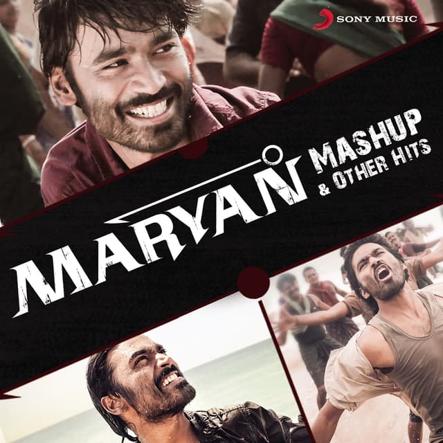 Album cover art for Maryan Mashup & Other Hits
