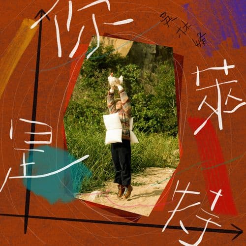 Album cover art for 你是萊特