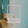 Following the Sun [Monte Fino Dub Remix]