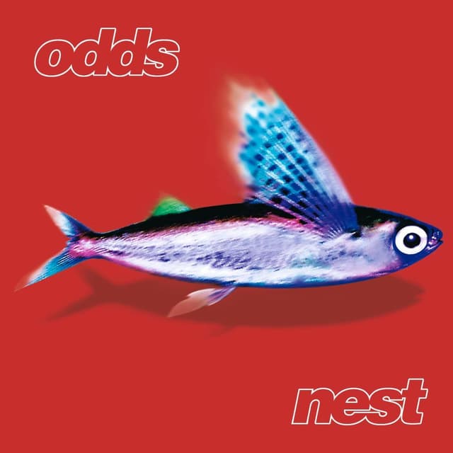 Album cover art for Nest