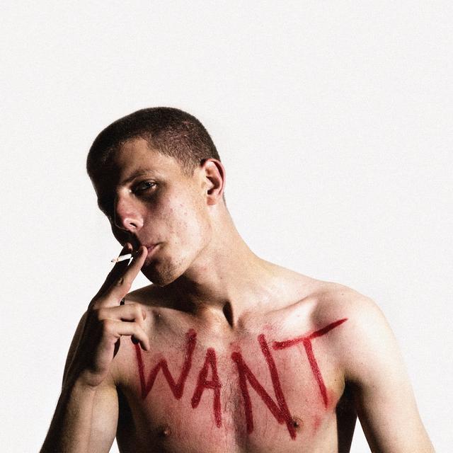 Album cover art for Want